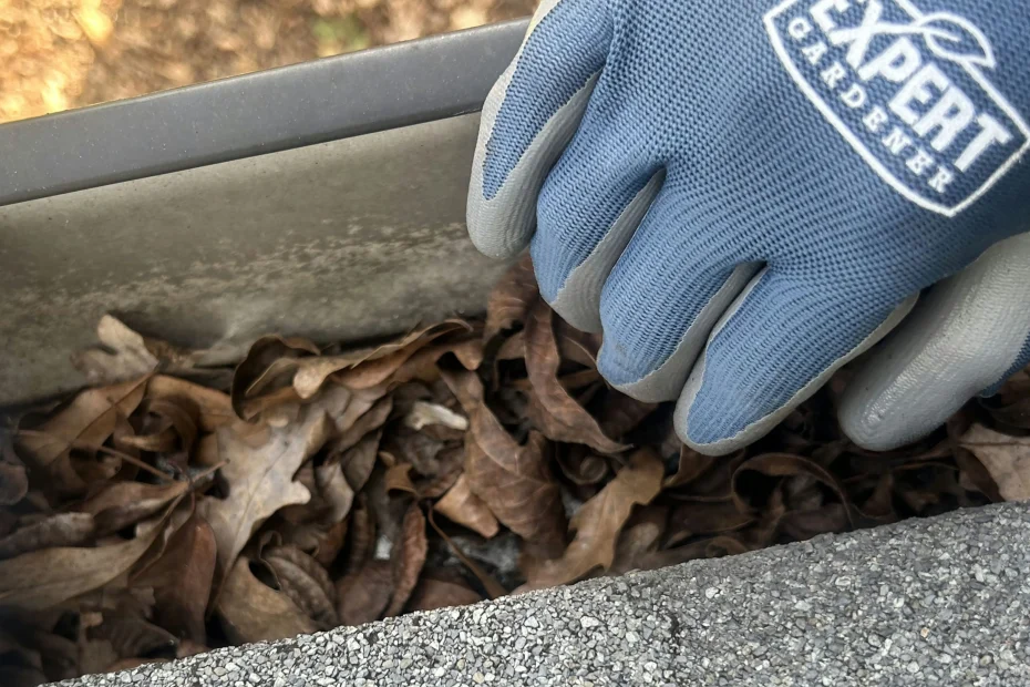 Gutter Cleaning Ooltewah TN